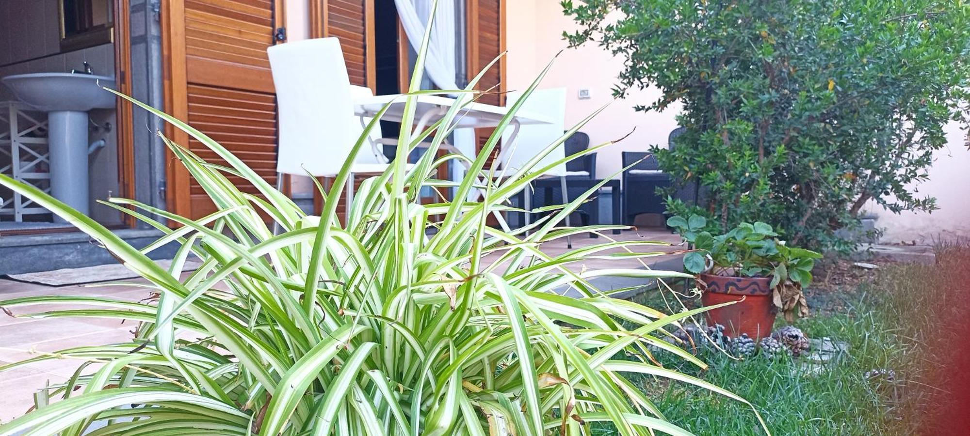 Casa Lilla 1 E 2 Apartamento Oristano Exterior foto
